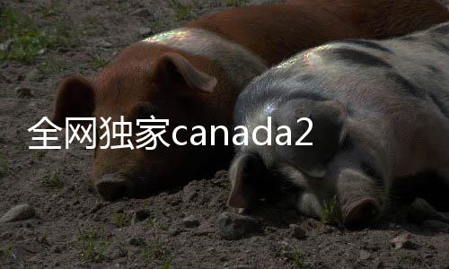 全网独家canada28预测28开奖网站刮奖回服务,24小时在线助力您的便捷交易